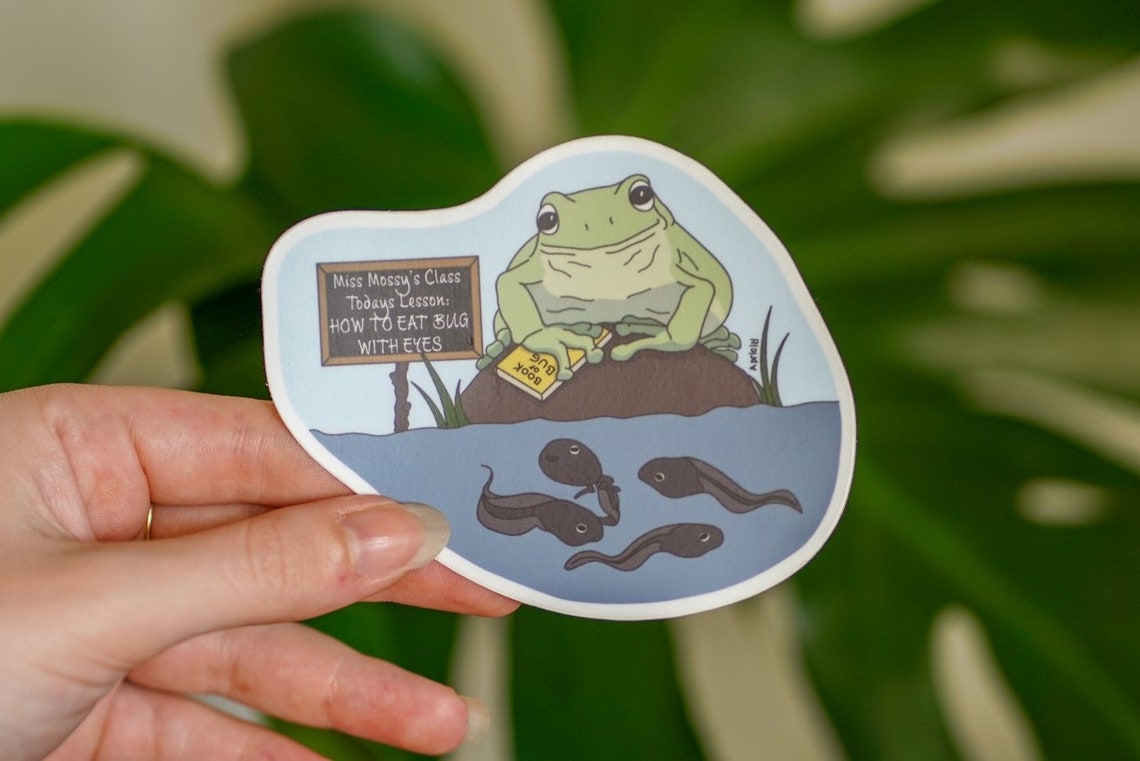 Teacher Frog Vinyl Sticker | Etsy