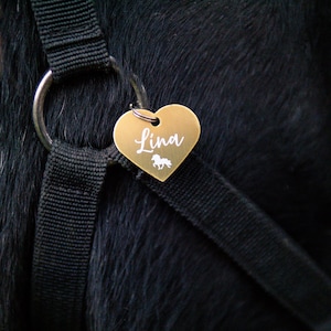 Golden Brand Pendant Heart "Wish Word + Symbol" | personalized | Gift, gift idea, lucky charm, collar, halter, horse, dog