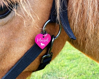 Pendentif de marque coeur "Mot de souhait + symbole" | personnalisé | 7 couleurs | Cadeau, idée cadeau, porte-bonheur, collier, licol, cheval, chien