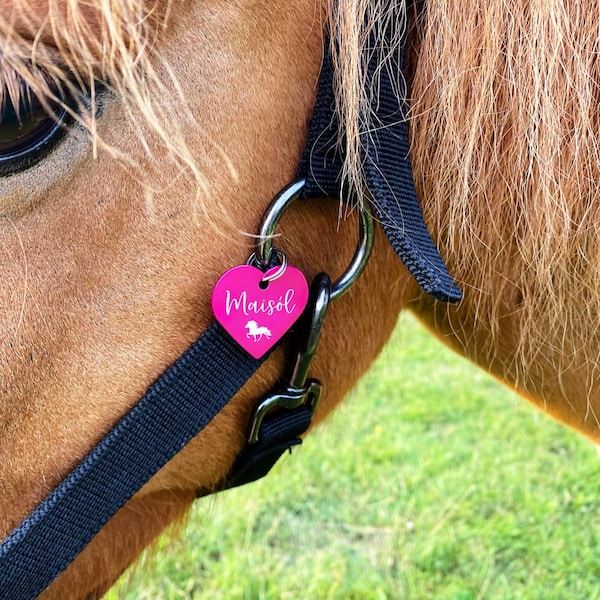 Marke Anhänger Herz "Wunschwort + Symbol" | personalisiert | 7 Farben | Geschenk, Geschenkidee, Glücksbringer, Halsband, Halfter,Pferd, Hund