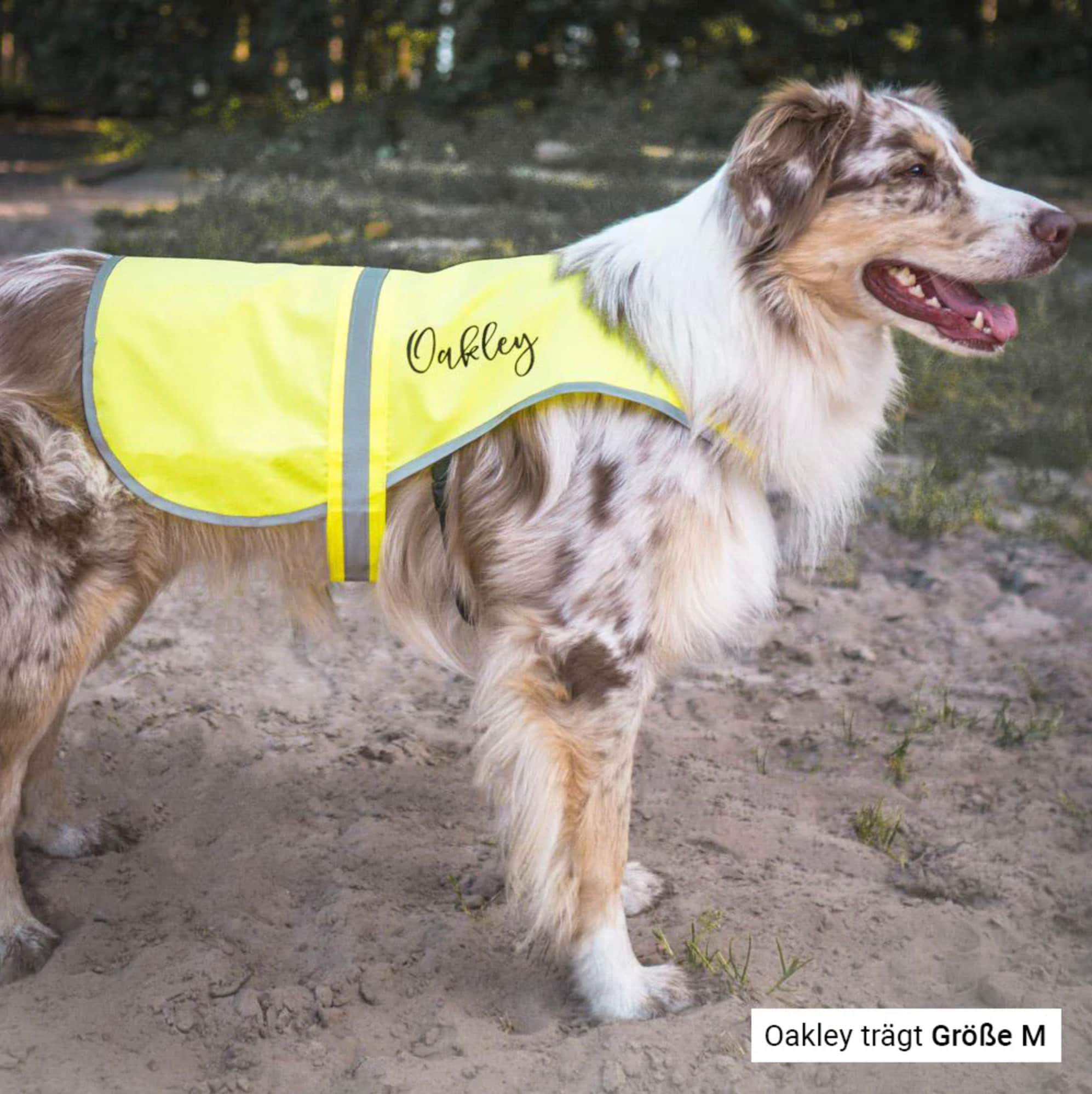 Warnweste Hund mit Name & Wunschtext personalisiert Sicherheit 3 Größen  Geschenk, Geschenkidee, Hunde, Spaziergang, Gassi - .de