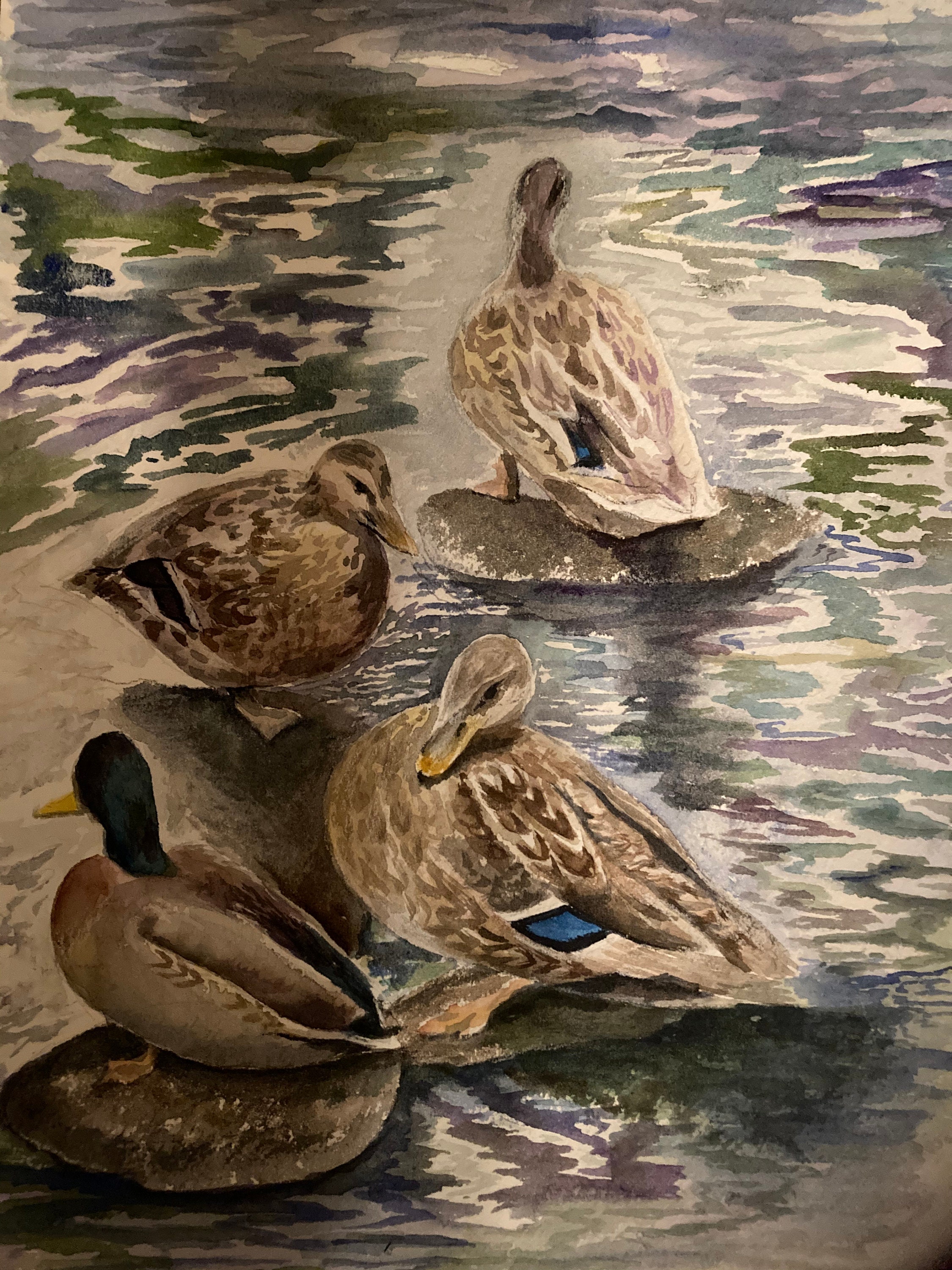 Beautiful original watercolors. Etsy