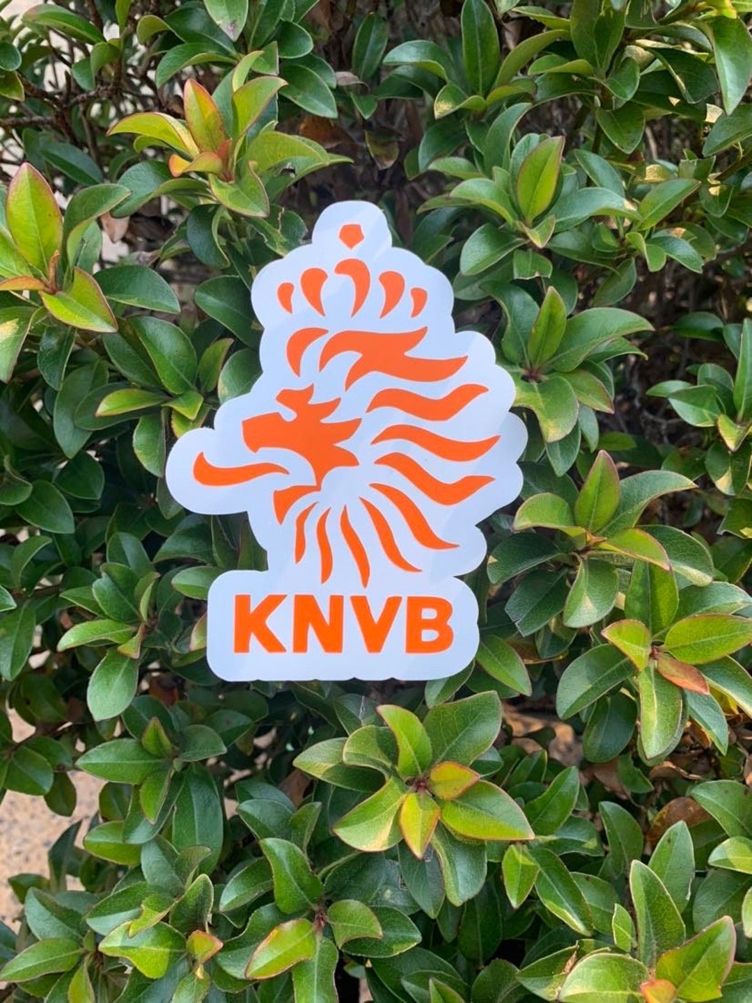 Netherlands National Football Team Decal Royal Dutch KNVB 