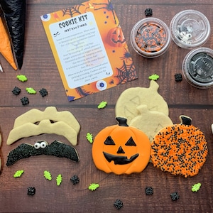 DIY Halloween Cookie Kit, Paint Your Own Halloween Sugar Cookies Kit, DIY Activity for Kids, Spooky DIY Cookie Kit, Handmade Halloween Cooki