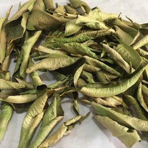 Dried Lime Leaves 100% Natural Home Grown Citrus aurantiifolia Hand Picked Leaves