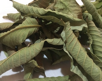 Guava Leaves Dried Organically Home Grown 100% Pure Herbal Tea Psidium guajava