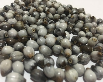 Natural Job&#39;s Tear Beads Seeds 100% grown Naturally Organic Jewelry Seeds Coix Lacryma Jobi Beads