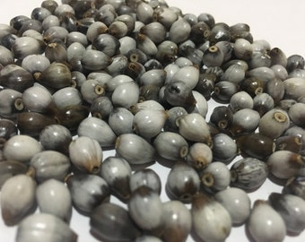 Natural Job's Tear Beads Seeds 100% grown Naturally Organic Jewelry Seeds