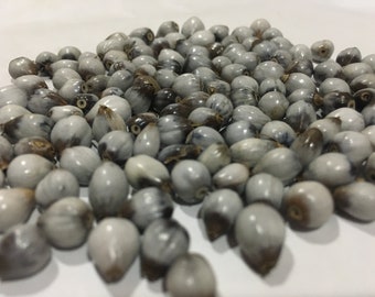 Job&#39;s Tear beads 100% natural wild grown adlay millet for jewelry making  coix lacryma jobi natural beads