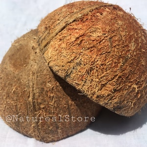 Metà guscio di cocco 100% naturale fatto in casa pezzi ecologici