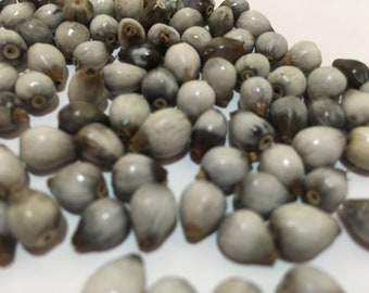Job&#39;s tear beads 100% natural coix lacryma jobi wild grown adlay millet natural beads