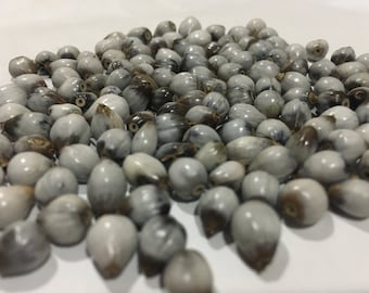 5000 Beads Natural Beads Job's Tear Beads 100% Natural Wild Grown Coix lacryma jobi For Jewelry Making Natural Beads Adlay Millet