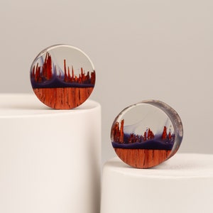Holz Tunnel / Resin Plugs/ Holz Plugs