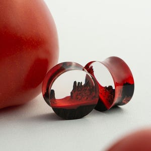Plugs made of wood and resin. Custom plugs, Wood resin plugs, gauges earrings, gauges earrings small