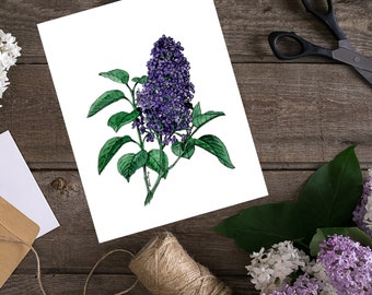 Lilac Art Print + Free Bookmark and Sticker