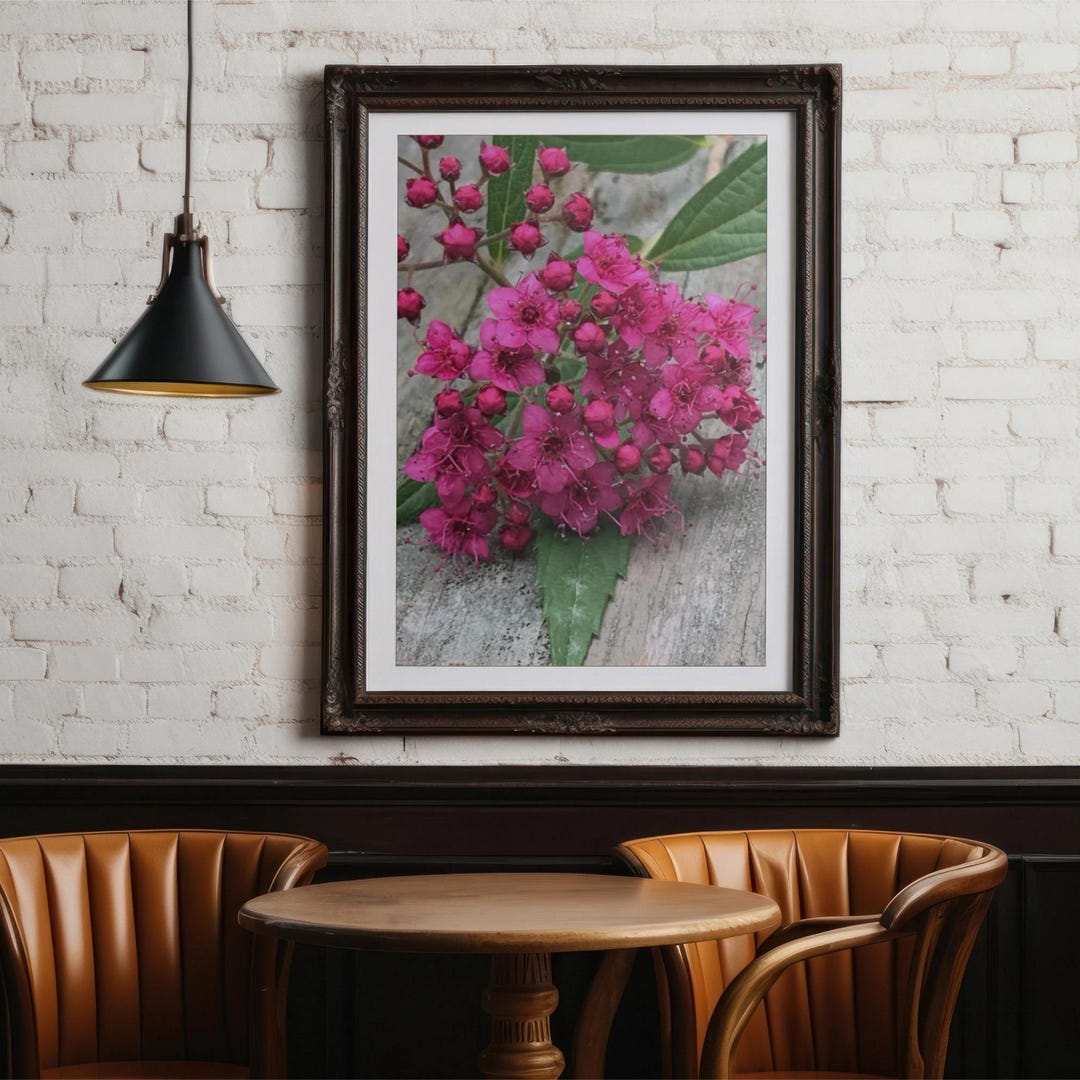 Pink Spirea Cluster Photo Print Wall Decor Spring Summer Art Canvas ...