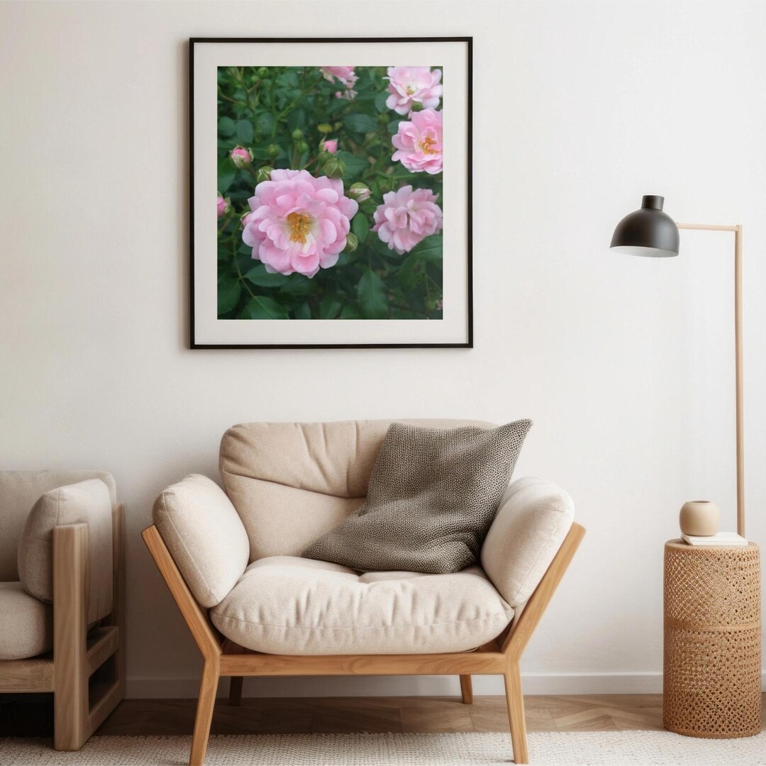 Pink Rose Photo Print Wall Decor Spring Summer Art Canvas Giclee - Etsy