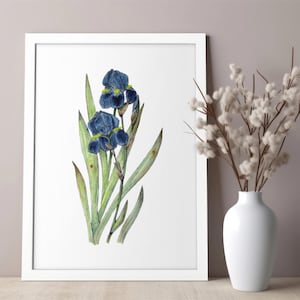 Blue Iris Watercolor Print Wall Decor Wall Art Spring Canvas Matte Giclee