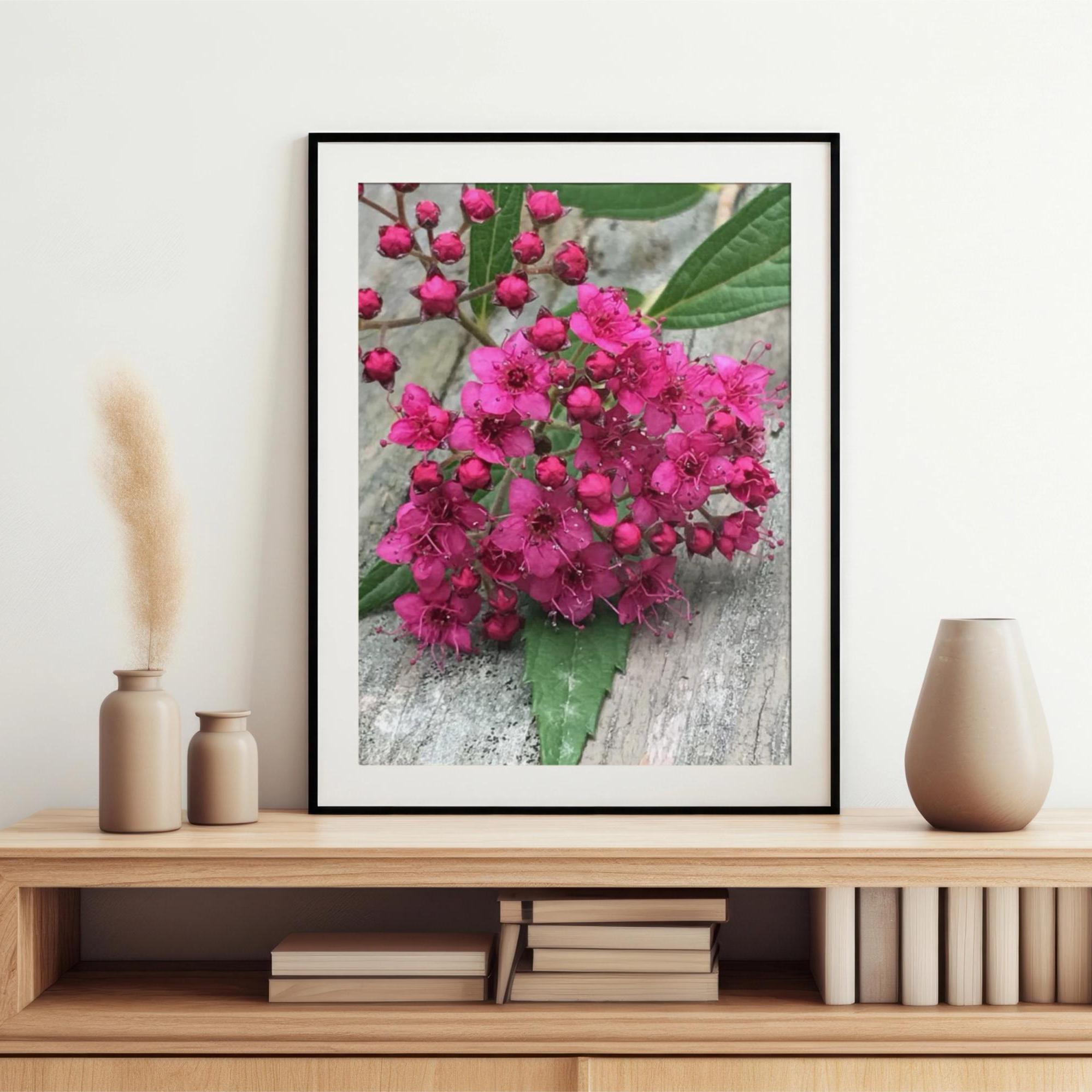 Pink Spirea Cluster Photo Print Wall Decor Spring Summer Art Canvas ...