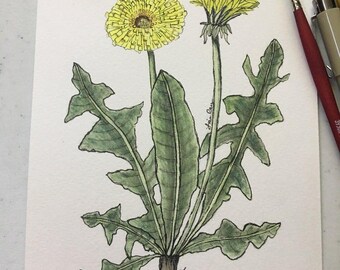 Dandelion Watercolor and Ink | Botanical Art | Wall Art | Home Decor | Vintage Style