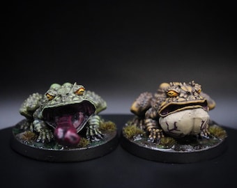 Painted Toad Miniatures / D&D / Pathfinder / Table top Games / Two Miniatures / Dnd monster / TTRPG / Fantasy miniature