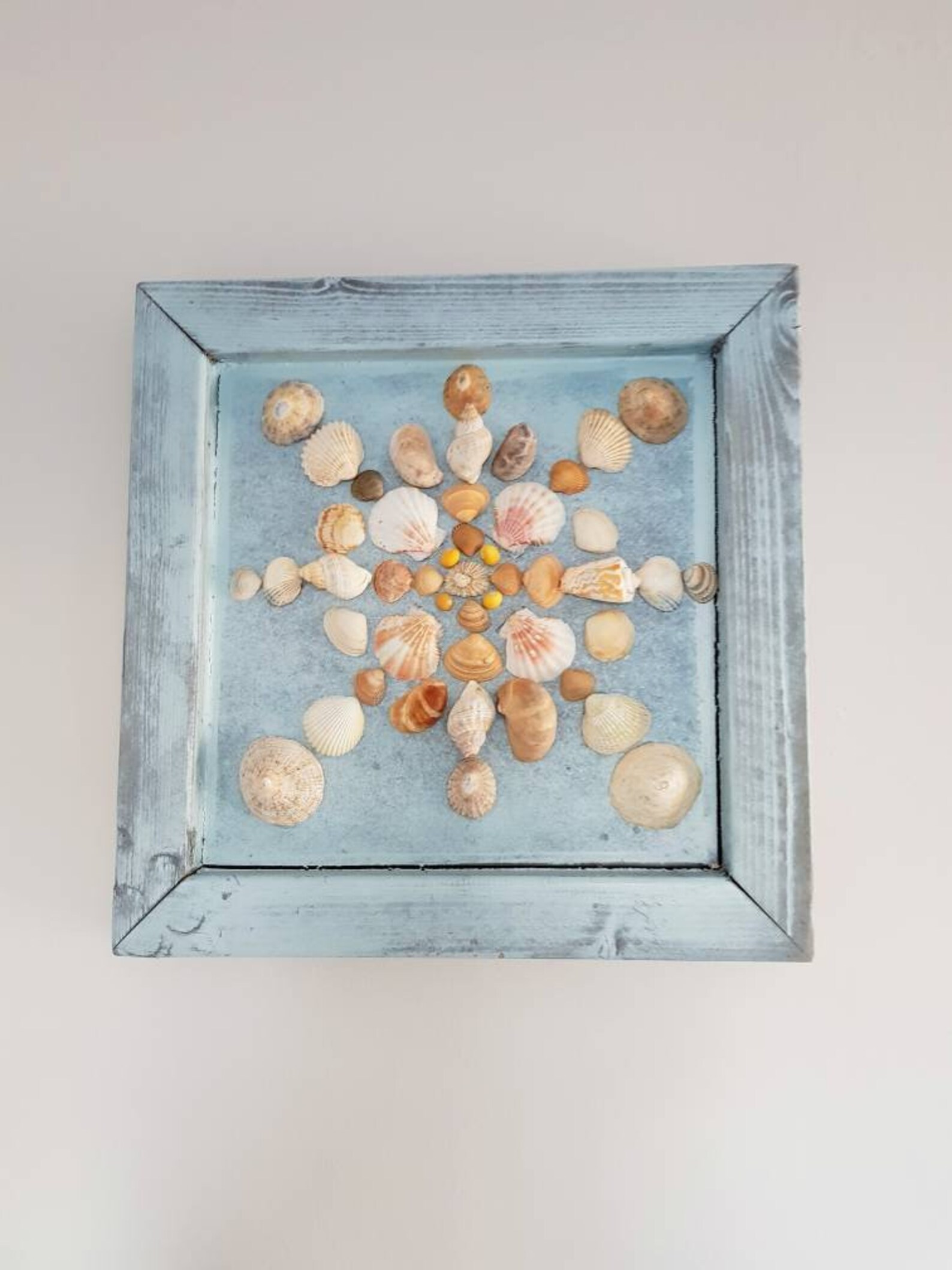 Seashell Wall Art. Etsy