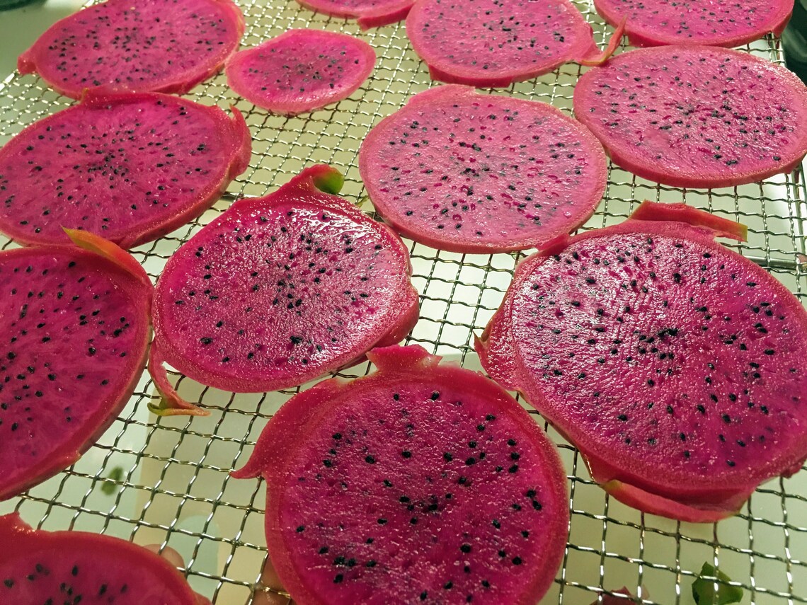 Dehydrated Dragonfruit slices Etsy