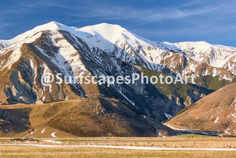 Cows on Mountain Farmland Digital Download Nature Landscape Photography Printable Wall Art South Island New Zealand Wilderness Scene