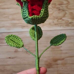 Crochet Rose