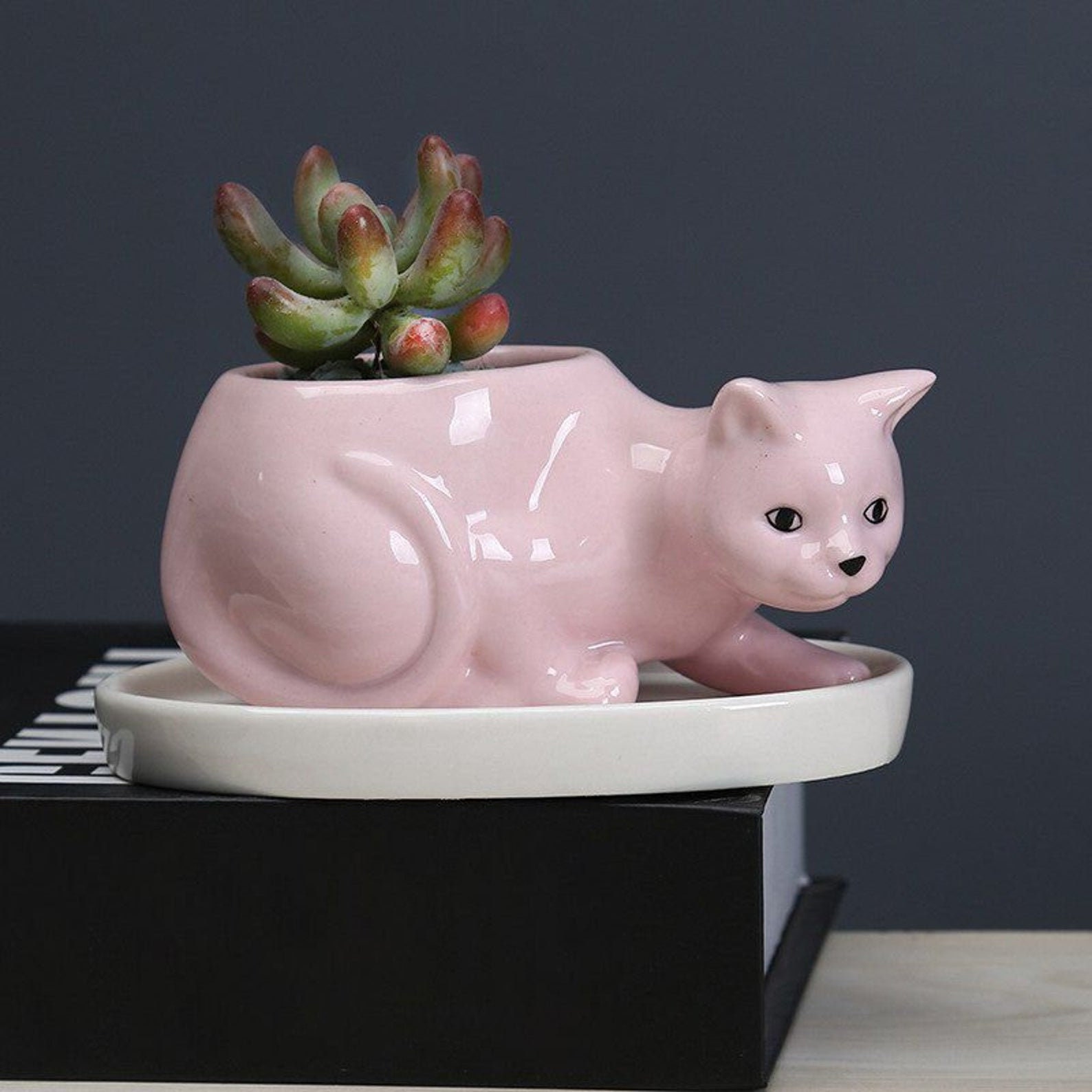 Ceramic Cat Planter with a Tray Ceramic Planter Animal Etsy