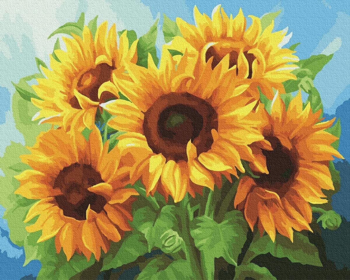 Malen  nach Zahlen 50x40cm mit Holzrahmen Leinwand Malset Sonnenblumen Blume 