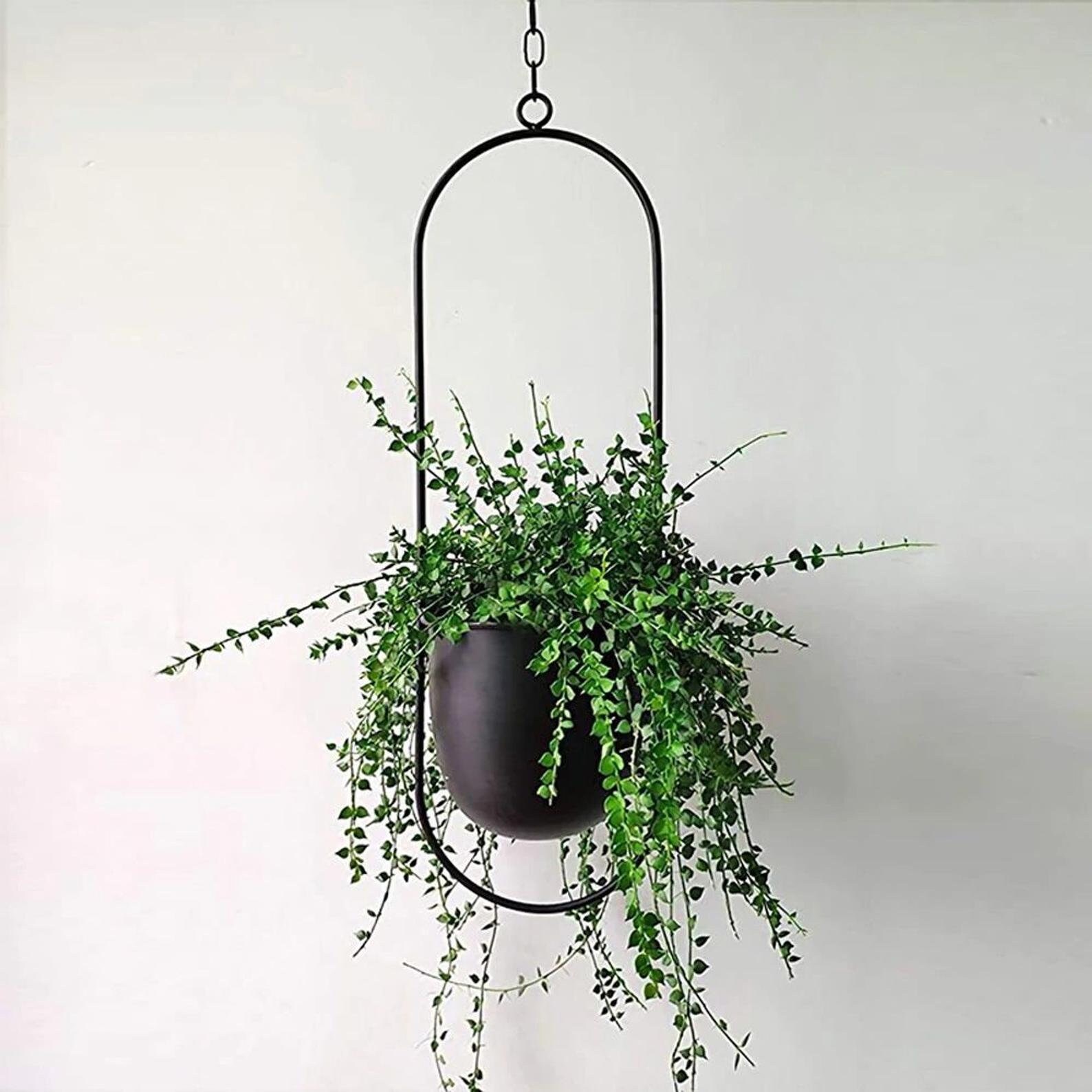 Metal Hanging Wall Planter Hanging Planter Indoor Hanging Etsy