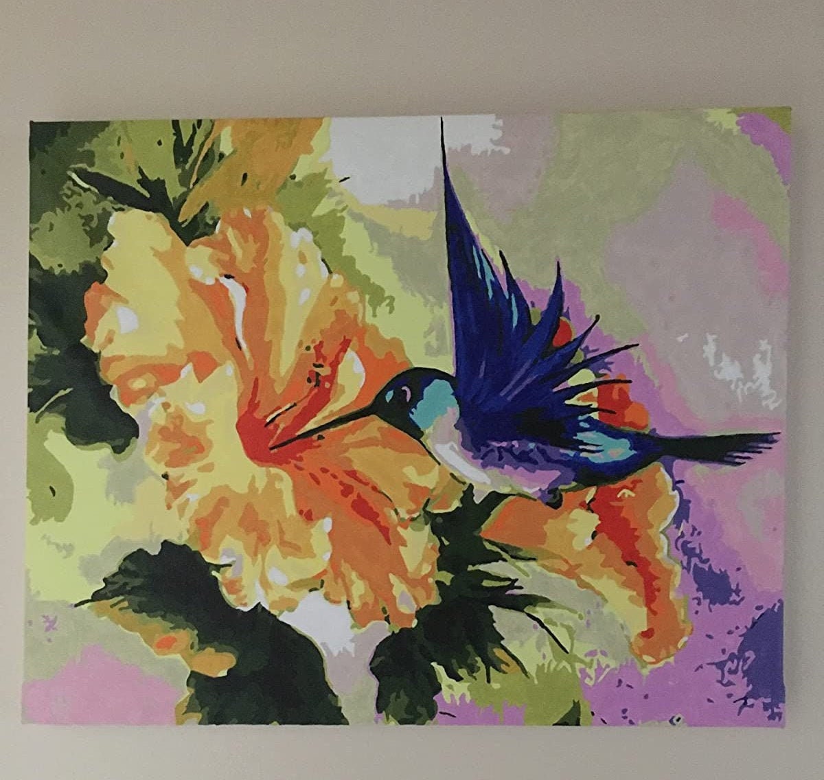 Hummingbird Paint By Numbers Kit Wall Art Bird Paint by Etsy