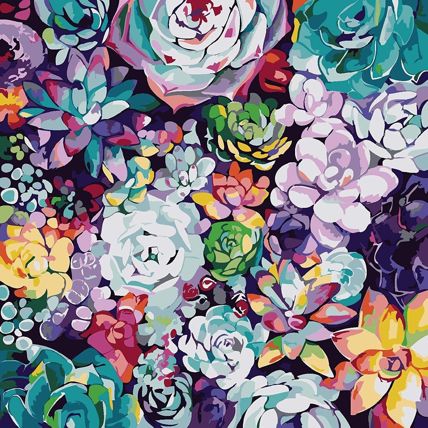 Colourful Succulents Paint by Numbers Kit Wall Artsucculent Etsy UK