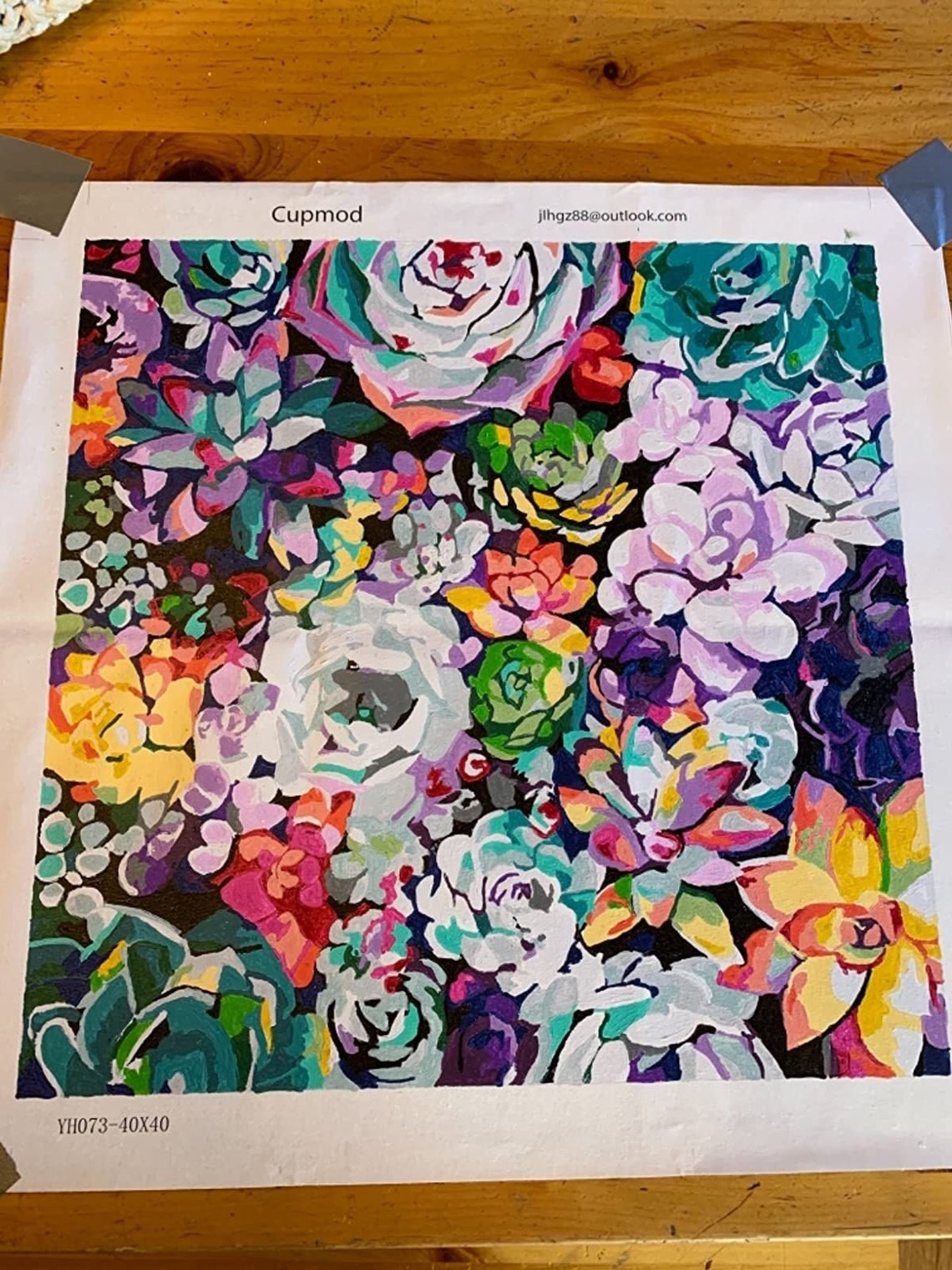 Colourful Succulents Paint By Numbers Kit Wall ArtSucculent Etsy