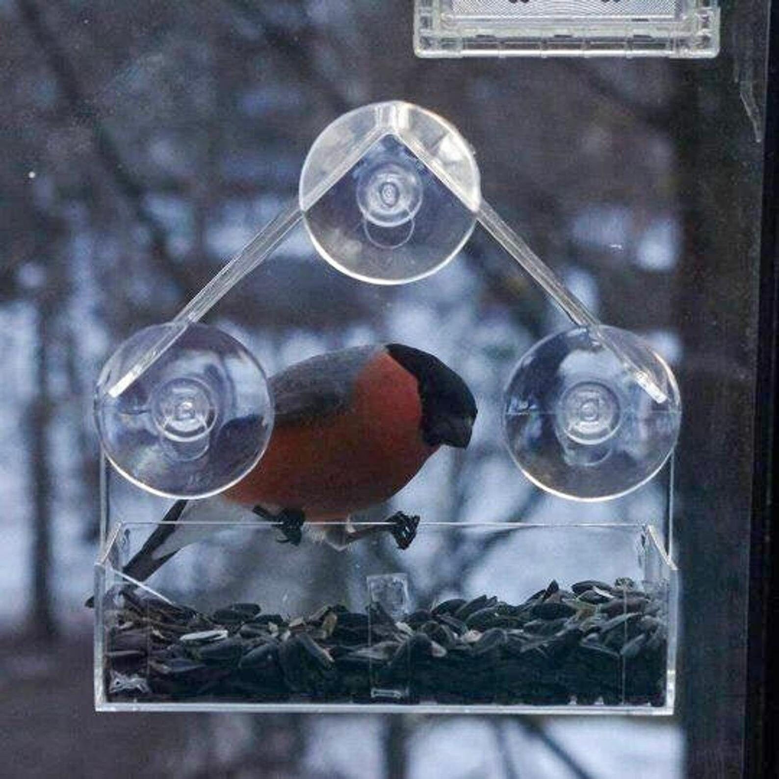 Small Window Bird Feeder Hanging Bird Feeder Acrylic Glass Etsy