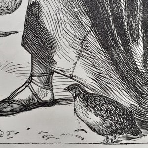 May include: A black and white illustration of a person's foot wearing a sandal and a small bird with a long tail.