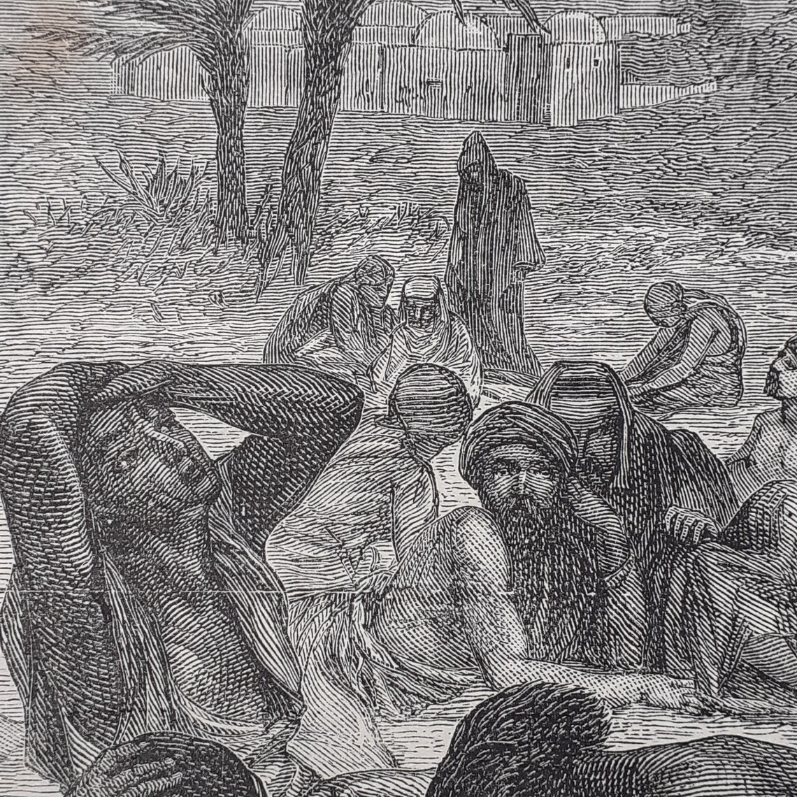 Laziness the Field of the Slothful Victorian Bible Print by J Grey