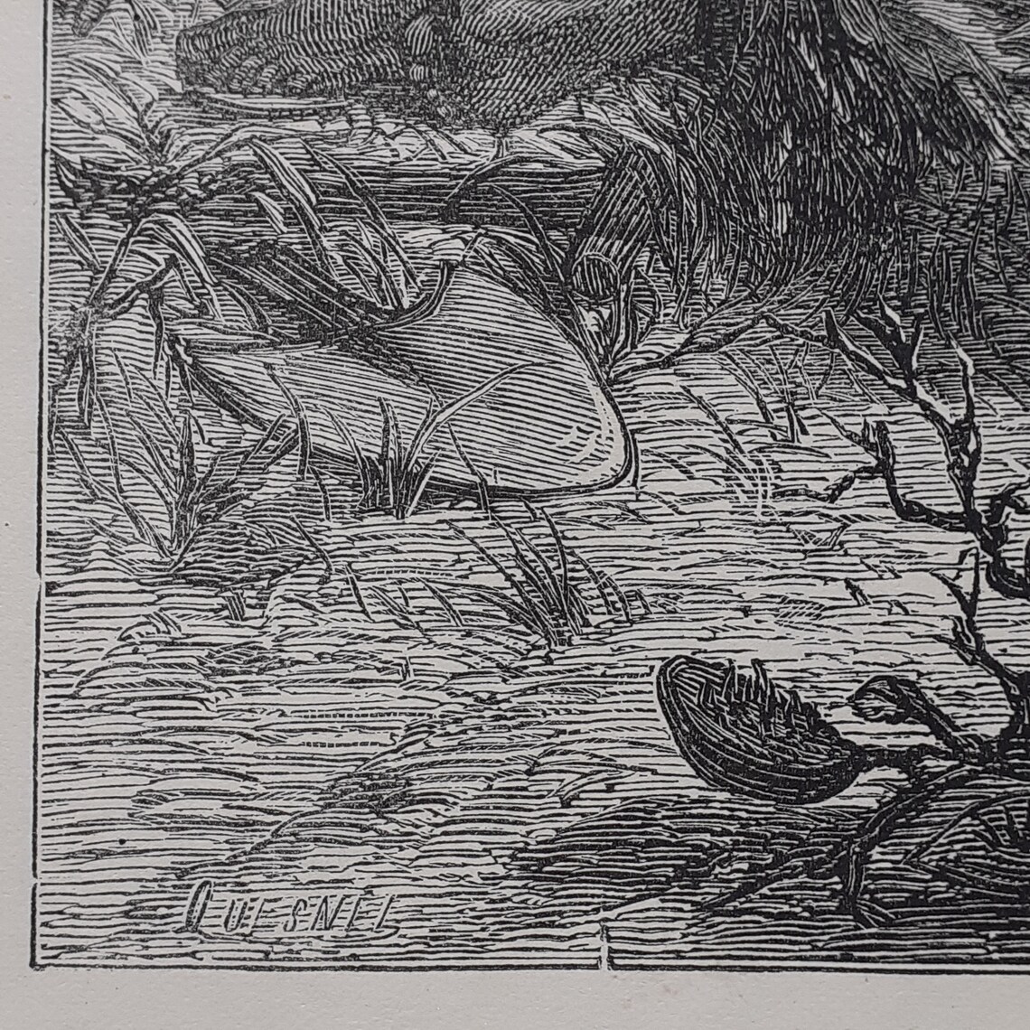 Laziness the Field of the Slothful Victorian Bible Print by J Grey