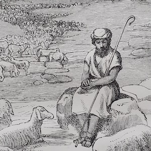 Jacob minding the flocks – vintage Victorian bible print – Religious print - woodcut