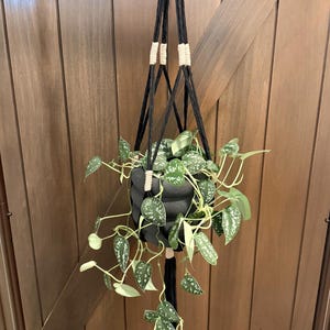 May include: A black macrame plant hanger featuring cream-colored cord accents and a circular wooden tag at the top. The hanger holds a black, ribbed, cylindrical pot containing a trailing plant with heart-shaped, variegated green and silver leaves.
