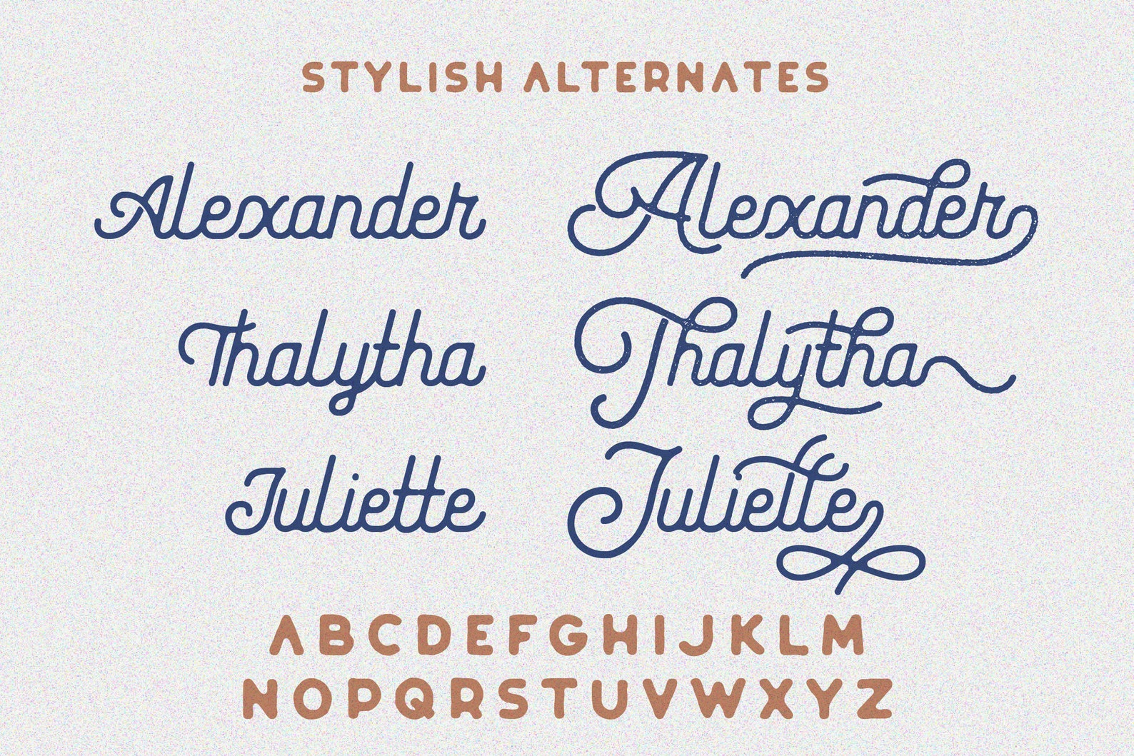 Baguette Vintage Script Font, Font Pair, Retro Font, Textured Font, Logo Font, Grunge Font ...