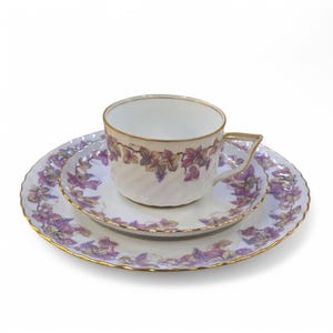 Koninklijke pr. Tettau koffieset 3-delig
