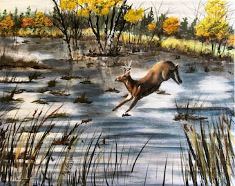 Whitetail Deer Buck crossing the swamp.