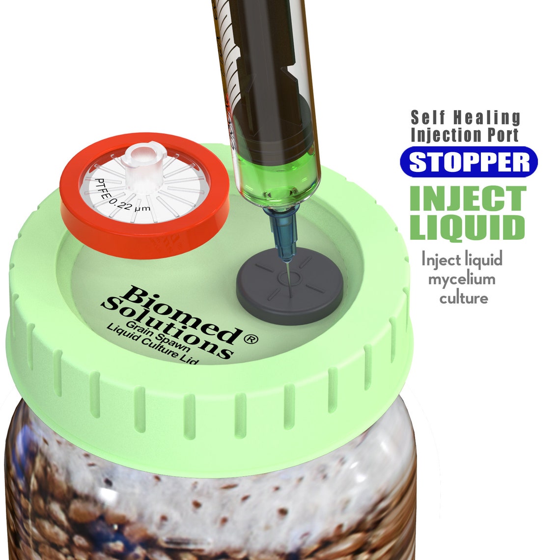 6pcs Liquid Culture Lids Autoclavable Rejular Mouth Jar Lids Etsy