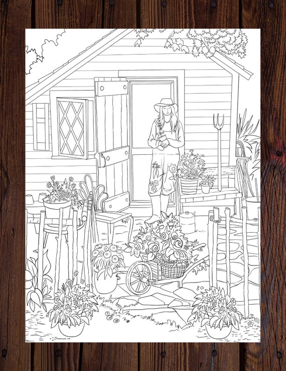 Adult Coloring Book MENAGERIE. for Sale in Las Vegas, NV - OfferUp