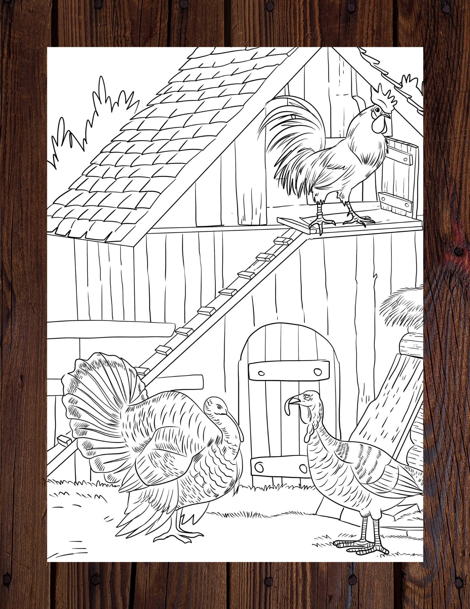 Chicken Coop Coloring Pages For Kids