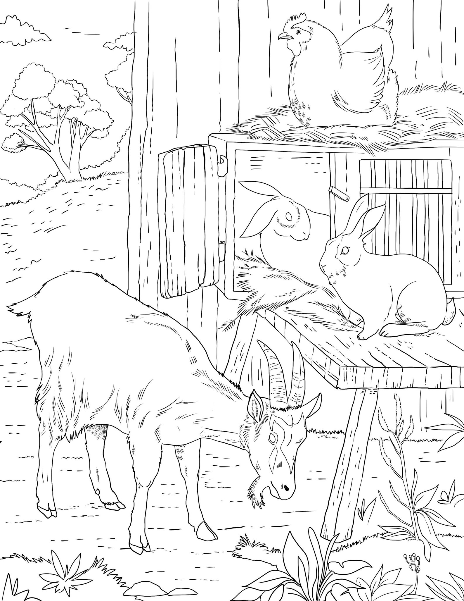 Farm Goat Printable Adult Coloring Page From Manila Shine coloring Book Pages for Adults and ...