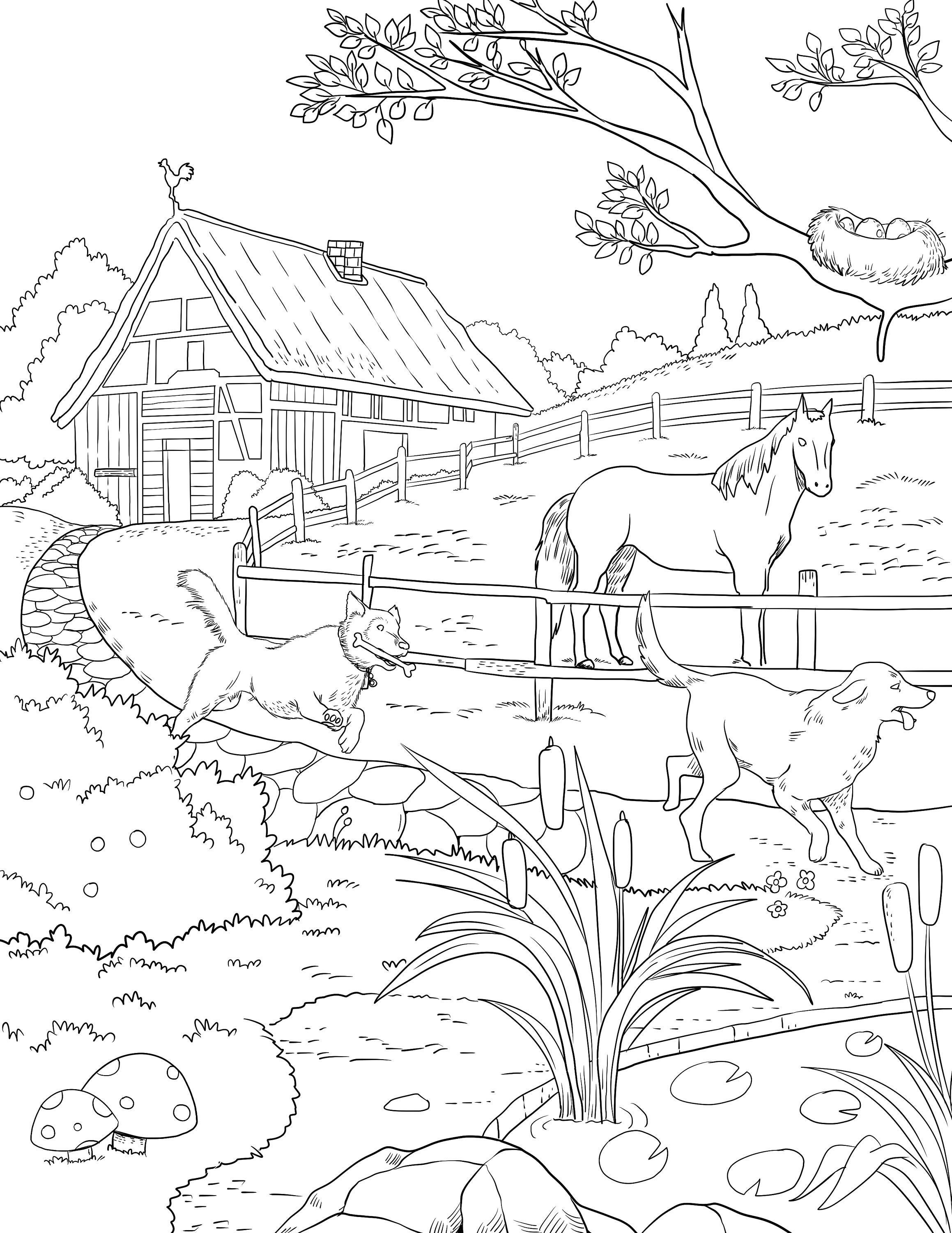 Farm Treats Printable Adult Coloring Page From (Instant Download) 