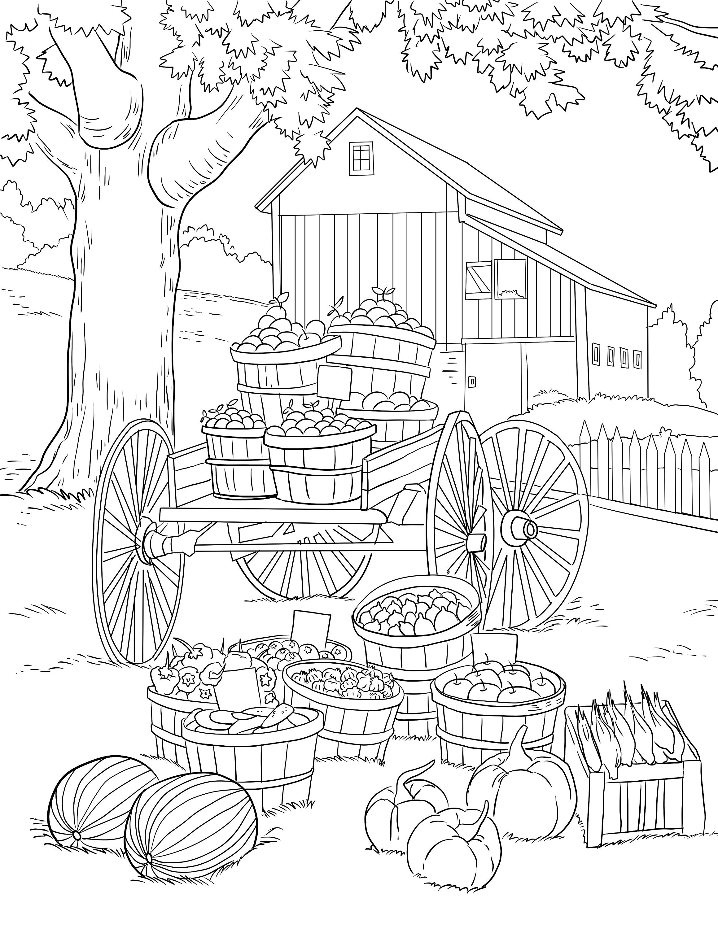 Summer Farmers Market-printable Adult Coloring Book Page-for Adults, Teens  and Kids-digital Download 